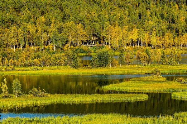 Landscape of a river in Northern Norway