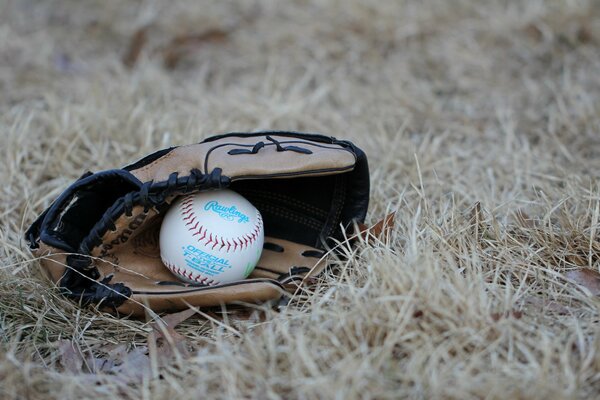 A baseball glove and a ball are lying on the grass