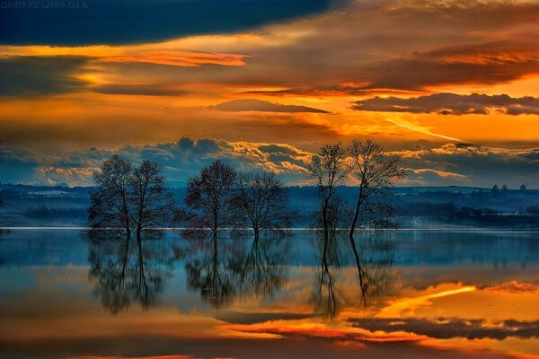 Golden clouds over the lake at sunset