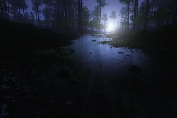 Naturaleza por la noche en el agua