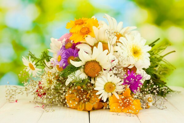 Bouquet of daisies sherbets and greenery