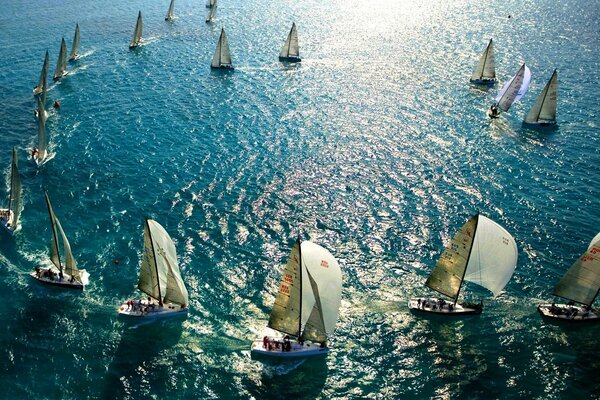 Невероятно красивое голубое море и много яхт с белыми парусами