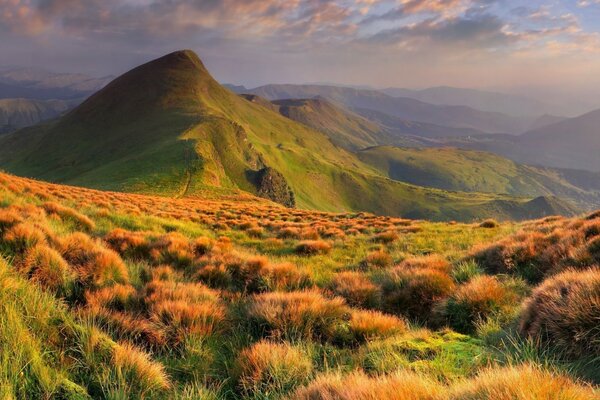 Paysage de montagne avec de l herbe verte