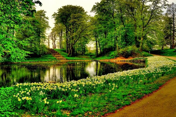 Très beau parc avec de l herbe verte et des arbres