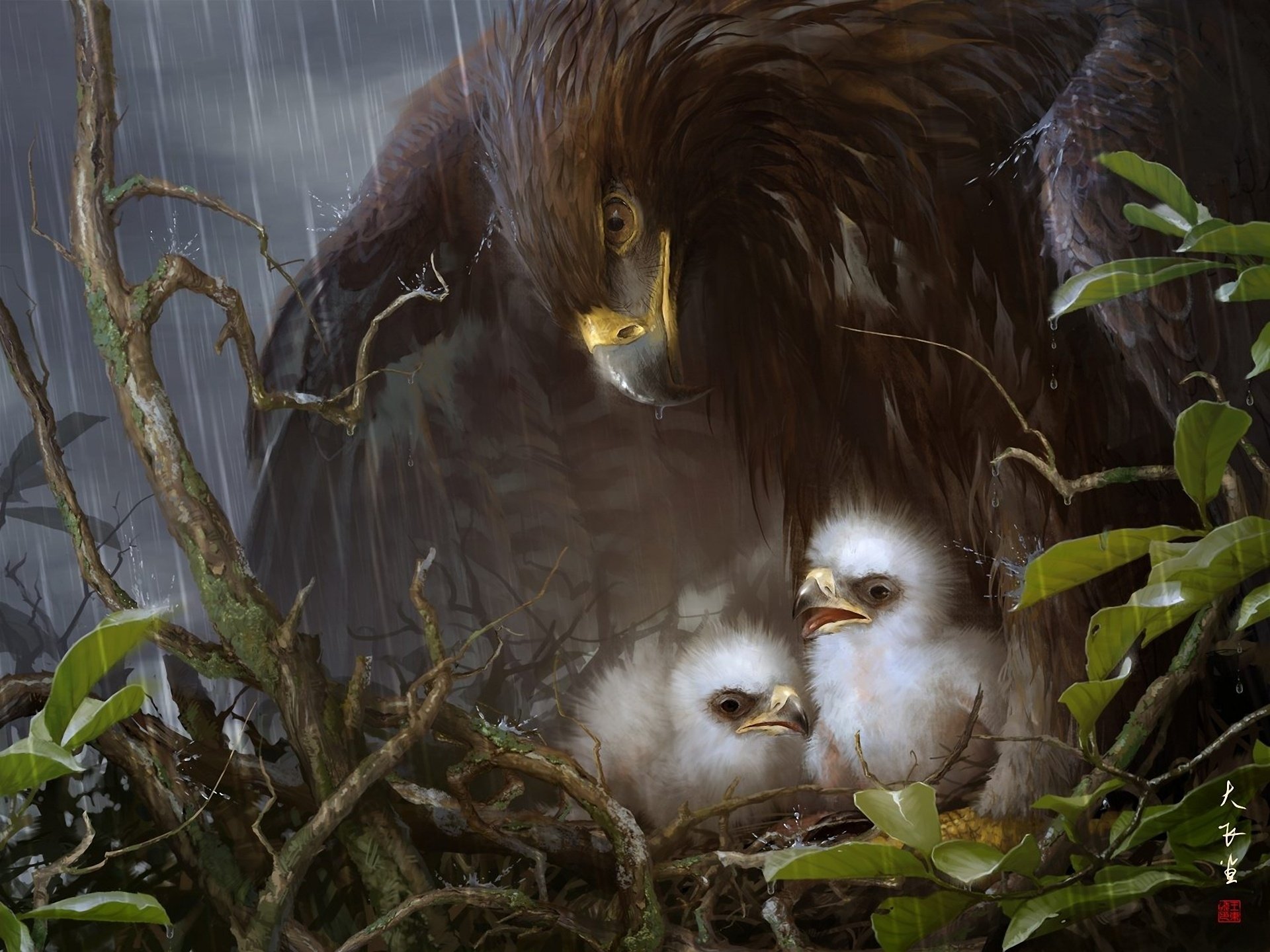 eagle socket care leaves birds art chicks rain