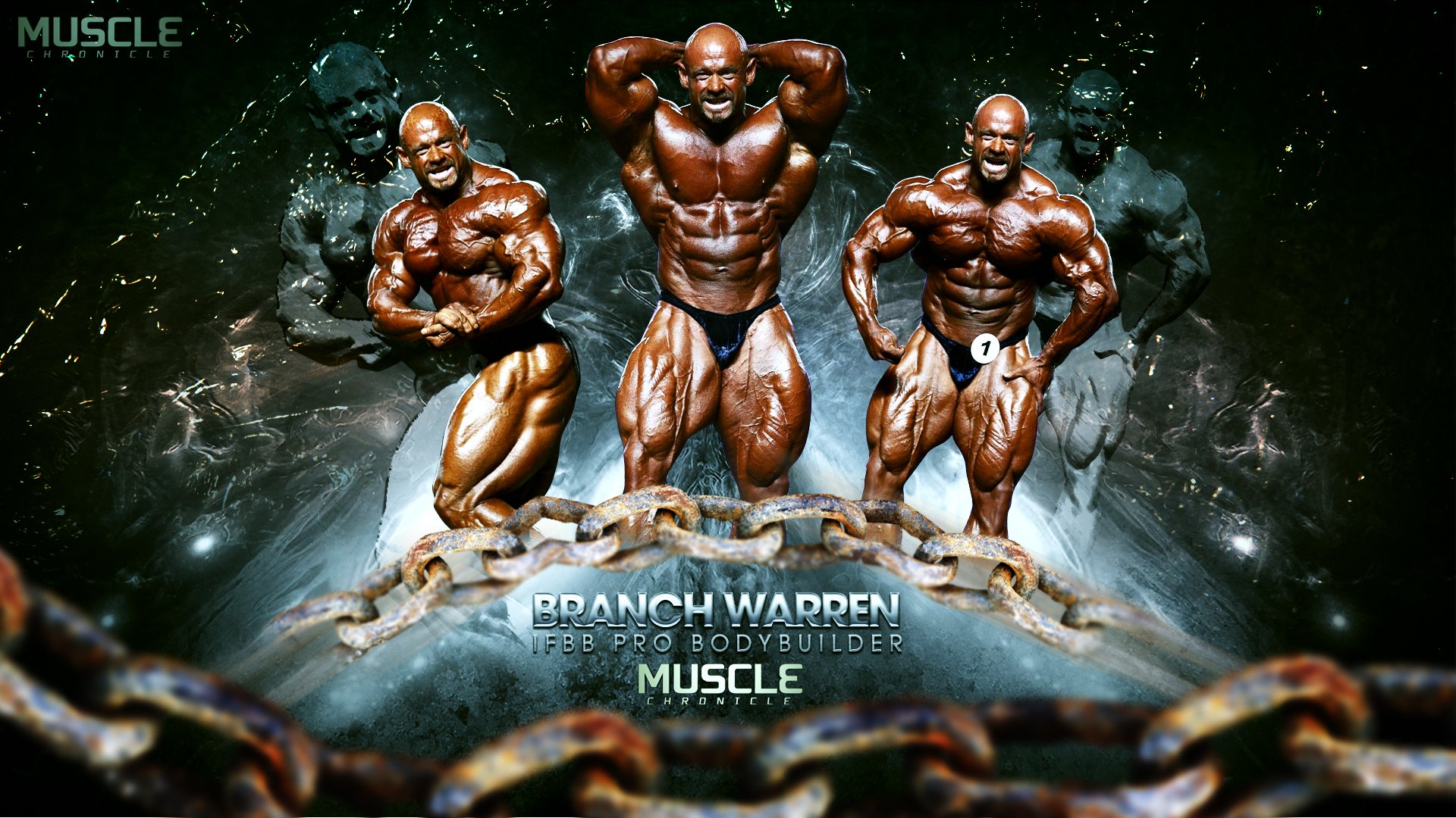 muscolo bodybuilding ramo warren ifbb pro bodybuilder