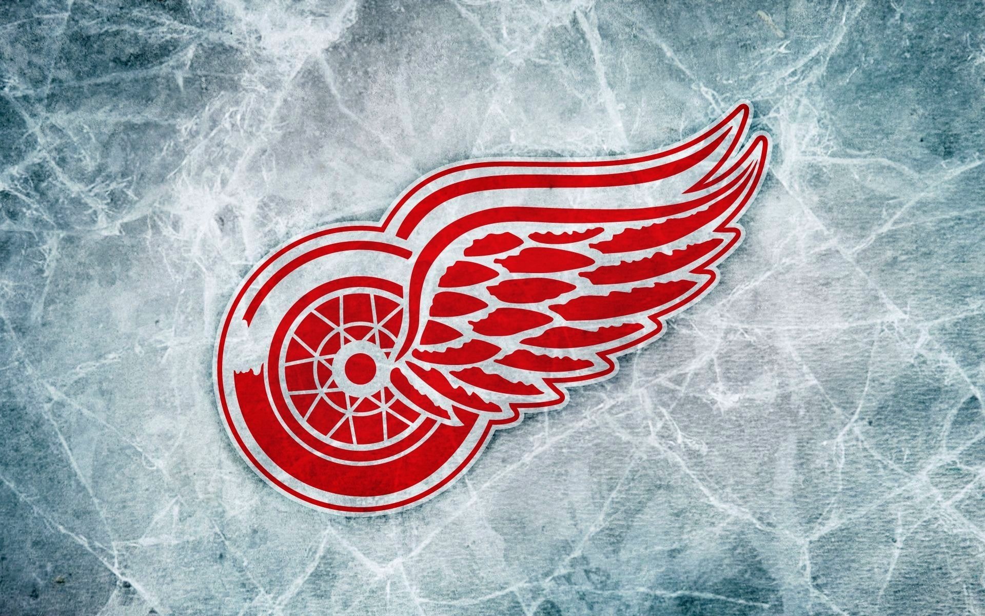 detroit ali rosse nhl hockey logo ghiaccio