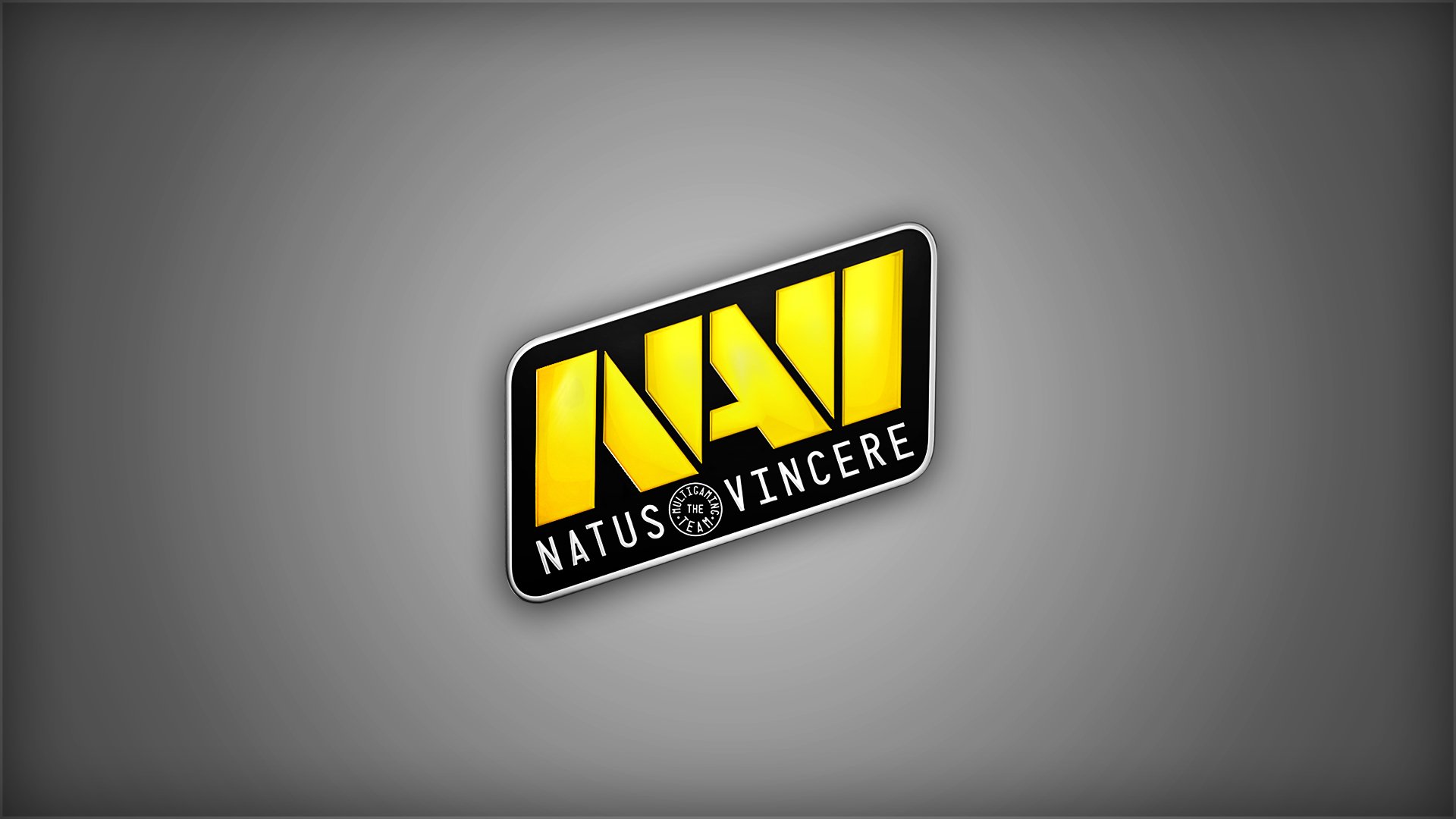 natus vincere na vi counter-strike dota 2 champion team