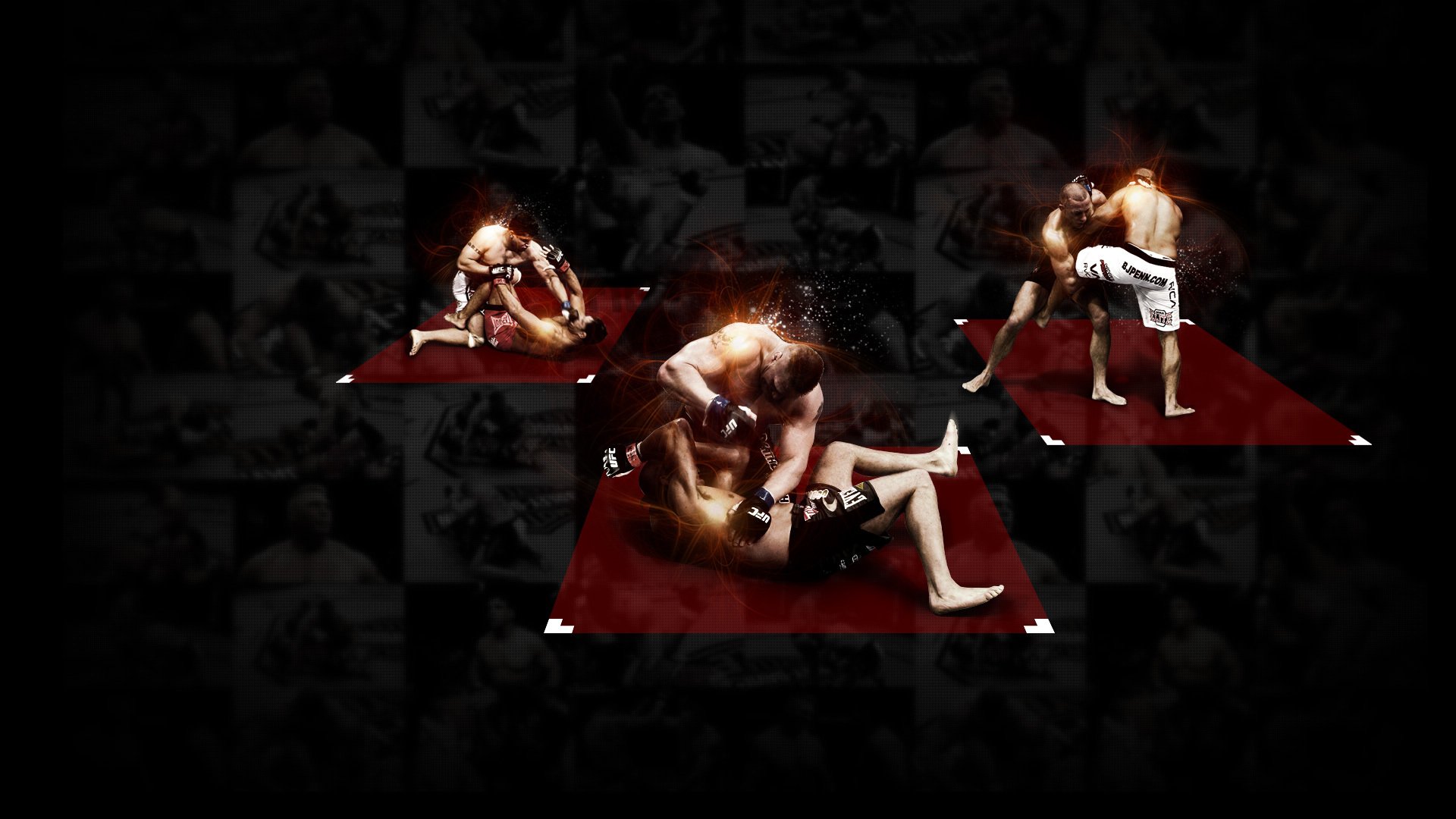 ufc kämpfer mixed martial arts champions frank mir georges st-pierre brock lesnar