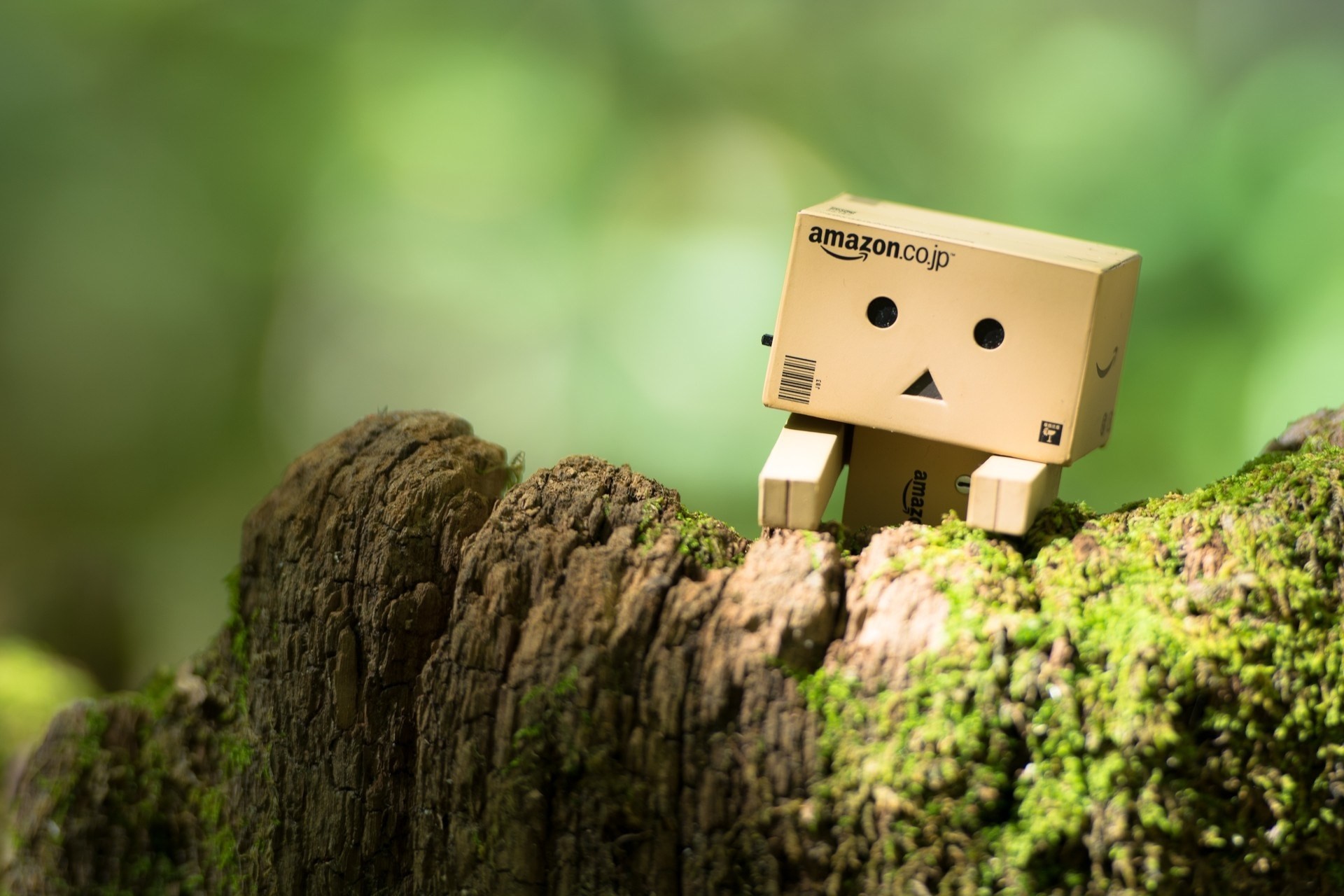 cardboard man danbo toy