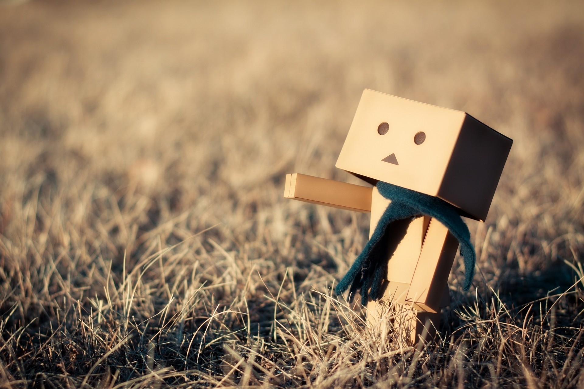 cardboard man grass danbo snow toys winter