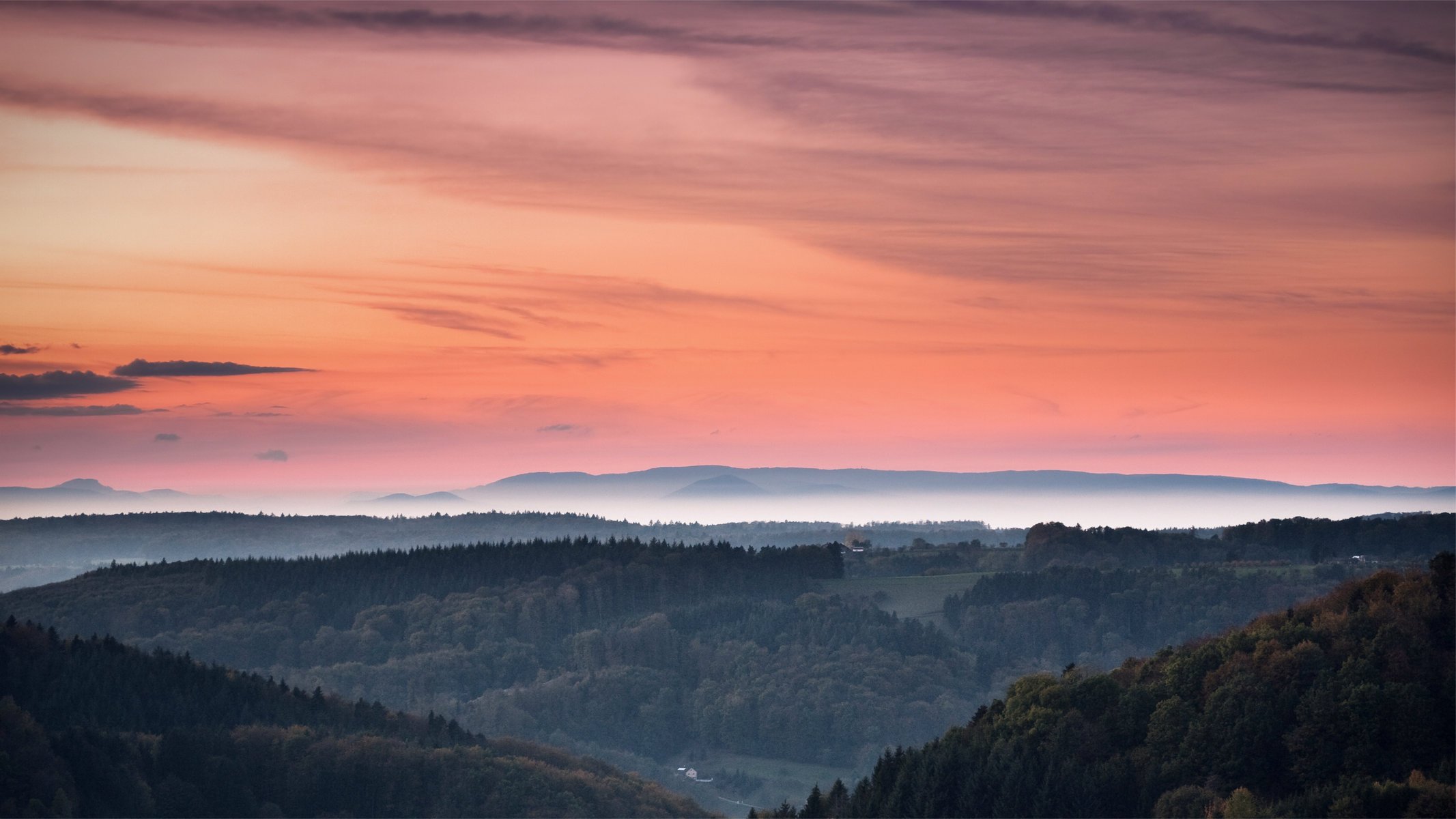 sera foresta alberi cielo tramonto arancione colline foschia