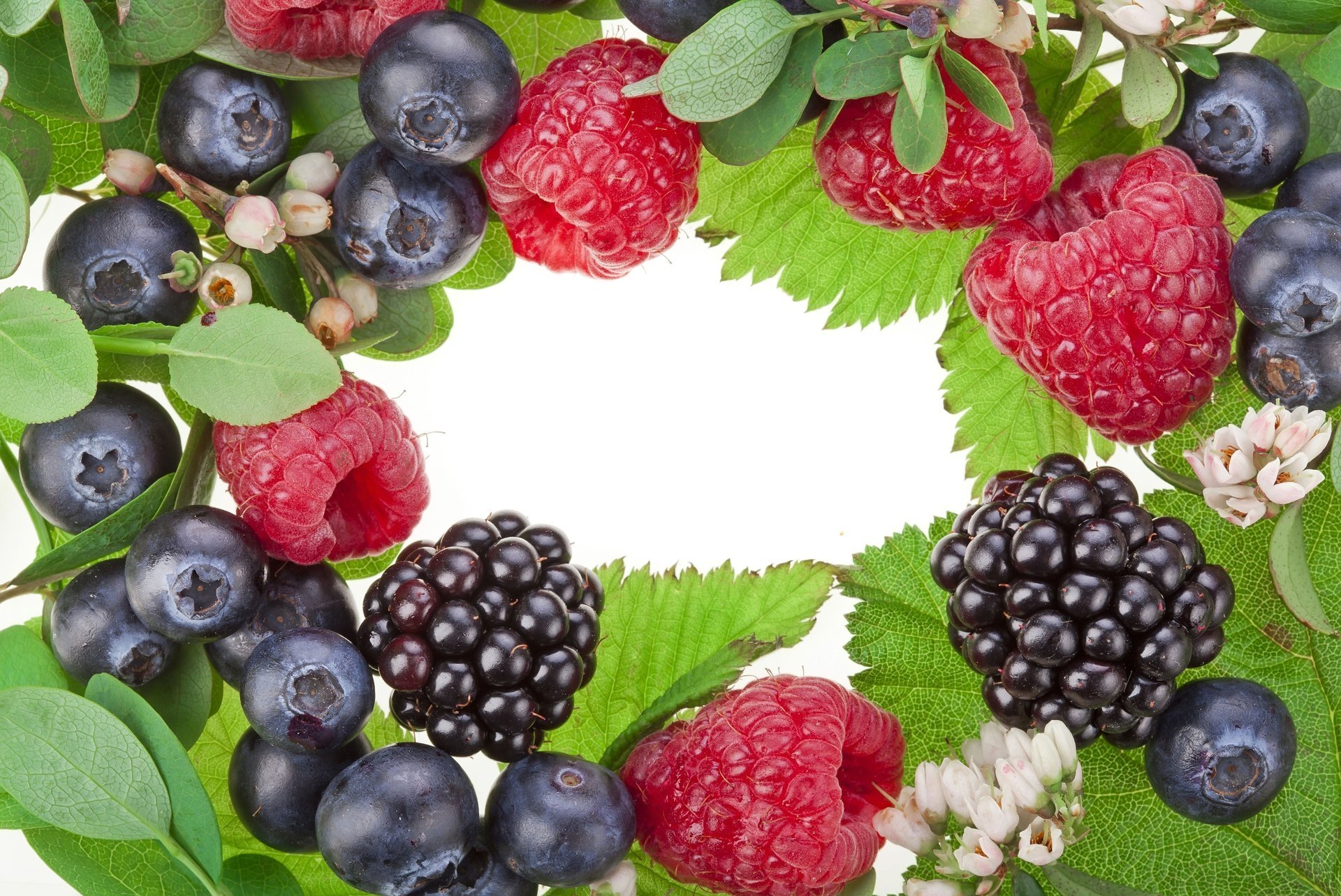 flores moras hojas frambuesas bayas arándanos