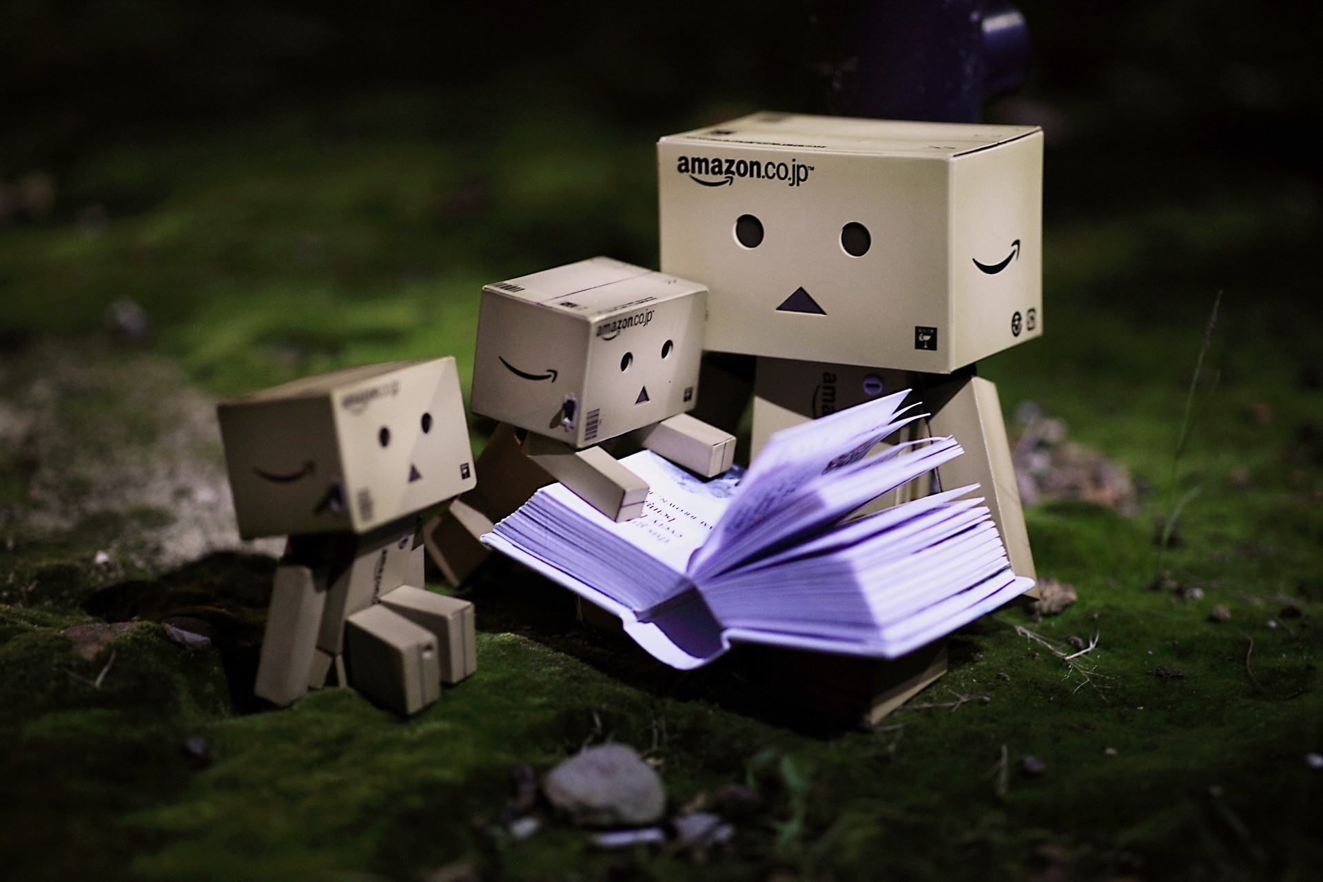 danbo libro carácter