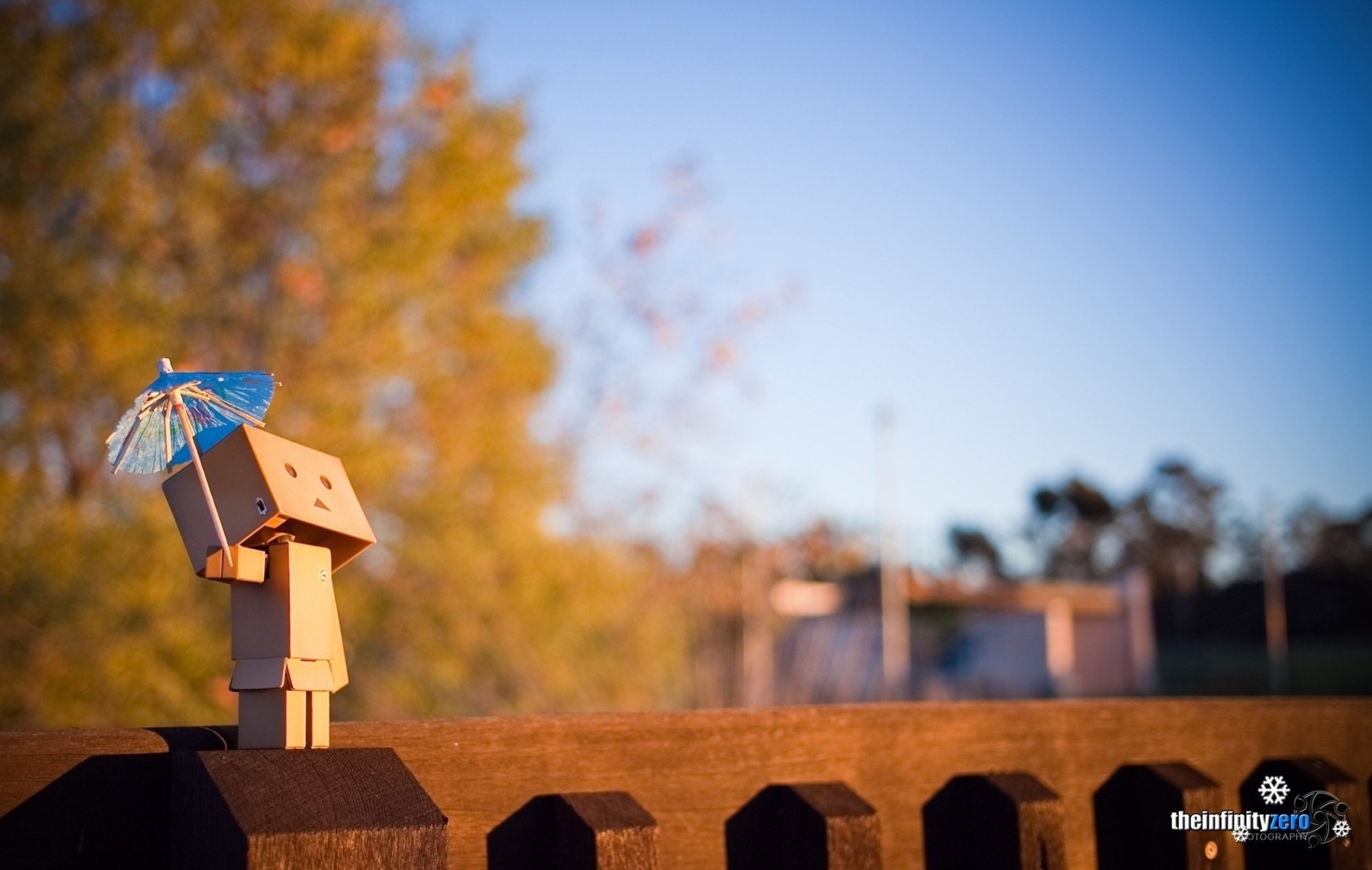 cardboard man danbo toy