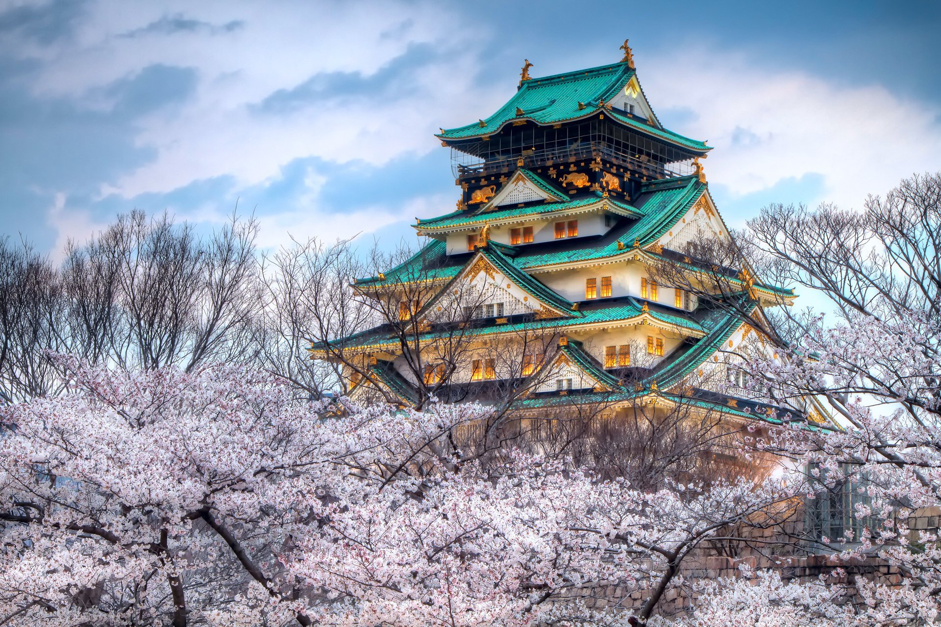 ciudad japón cielo color primavera templo sakura