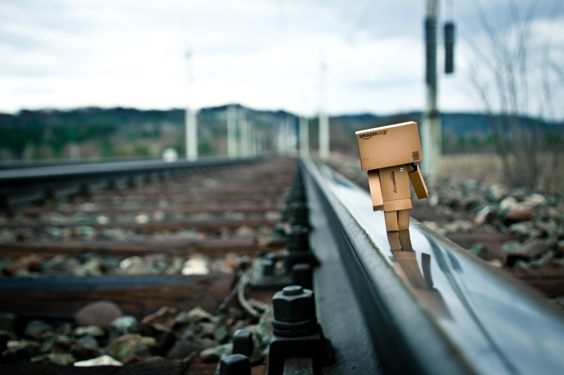 danbo railroad toy