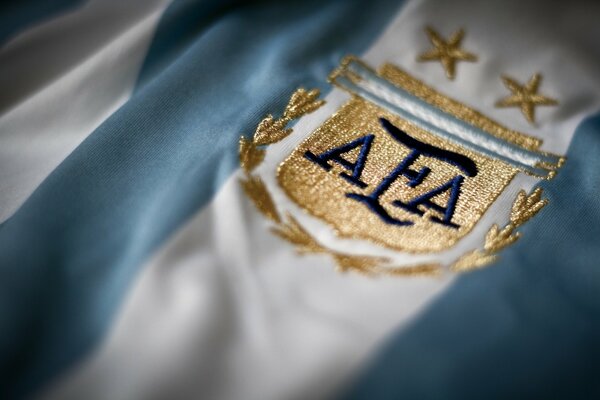 Argentina soccer team image