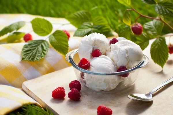 Himbeer-Delikatesse an einem heißen Tag. Eis in einer schönen Kremanke. Helle Farben des Sommers