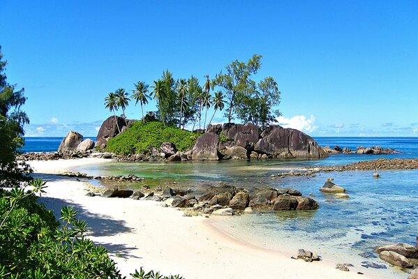 Playa exótica en el océano. Unas maravillosas vacaciones en Seychelles