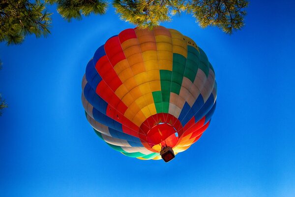 Globo en el cielo