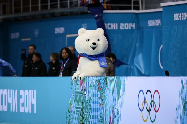 Igrzyska Olimpijskie w Soczi 2014