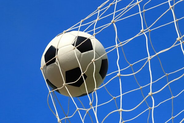 Foto de un balón de fútbol volando en la red de la portería, sobre un fondo azul brillante uniforme