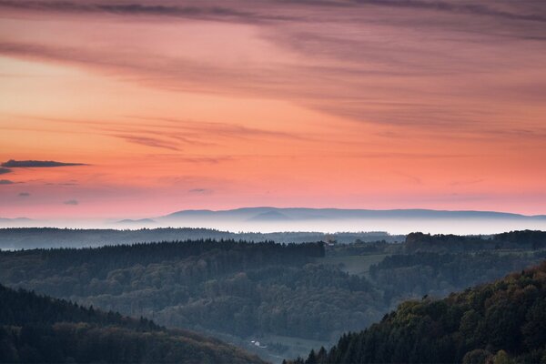 Pomarańczowy zachód słońca zamarzł na niebie. Mgła spowiła wzgórza i tajemniczy las