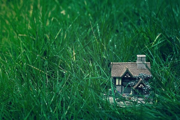 Игрушечный дом на зелёной траве