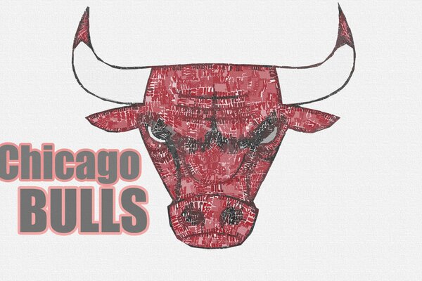 NBA Chicago Bulls Basketball Logo