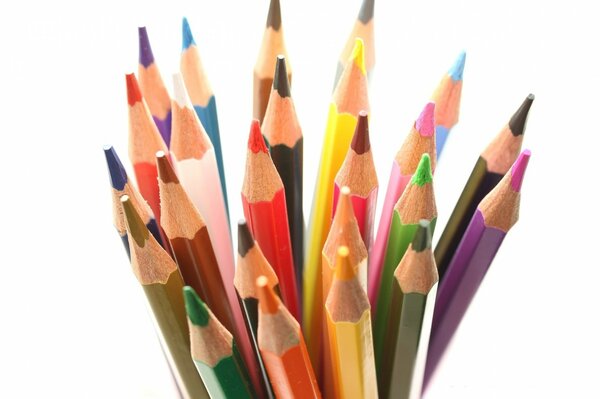 A set of colored pencils on a white photo