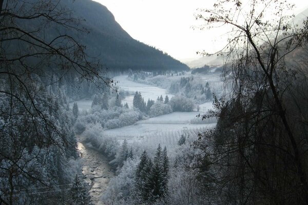 Schneebedeckte Felder, Bäume und Berge