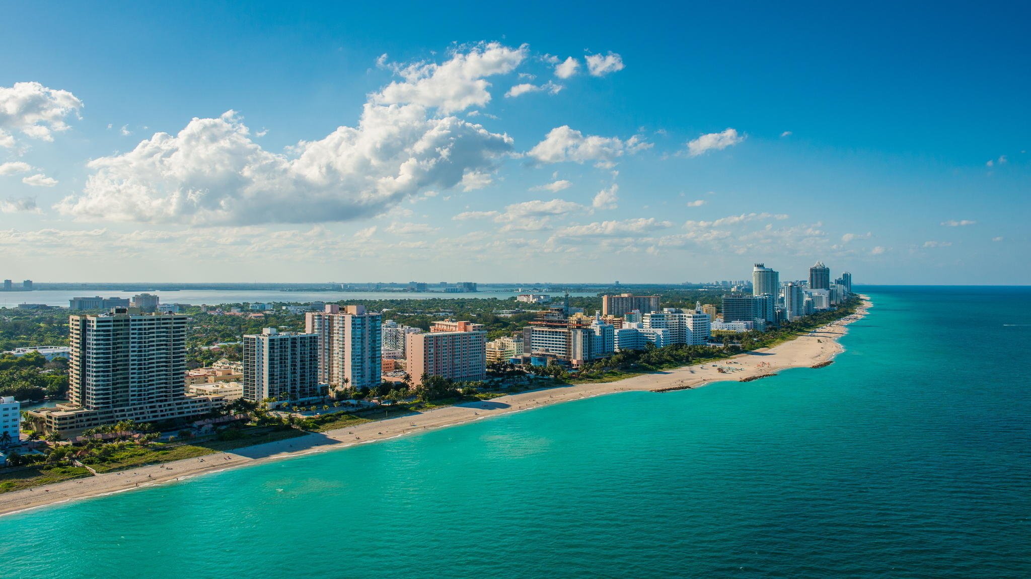 miami miami south beach plage nuit palmiers floride floride