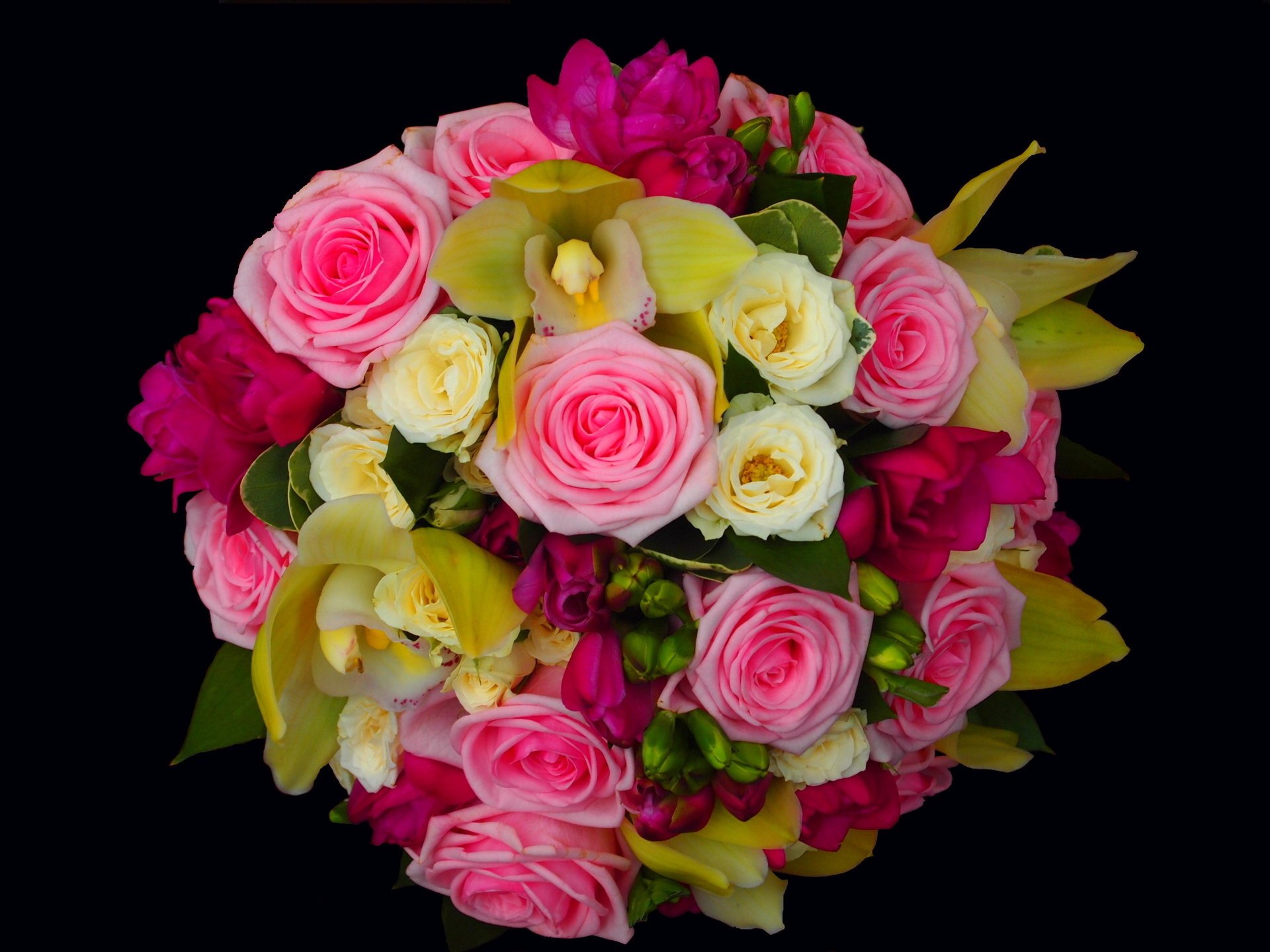 roses flowers bouquet orchids flower pink orchid