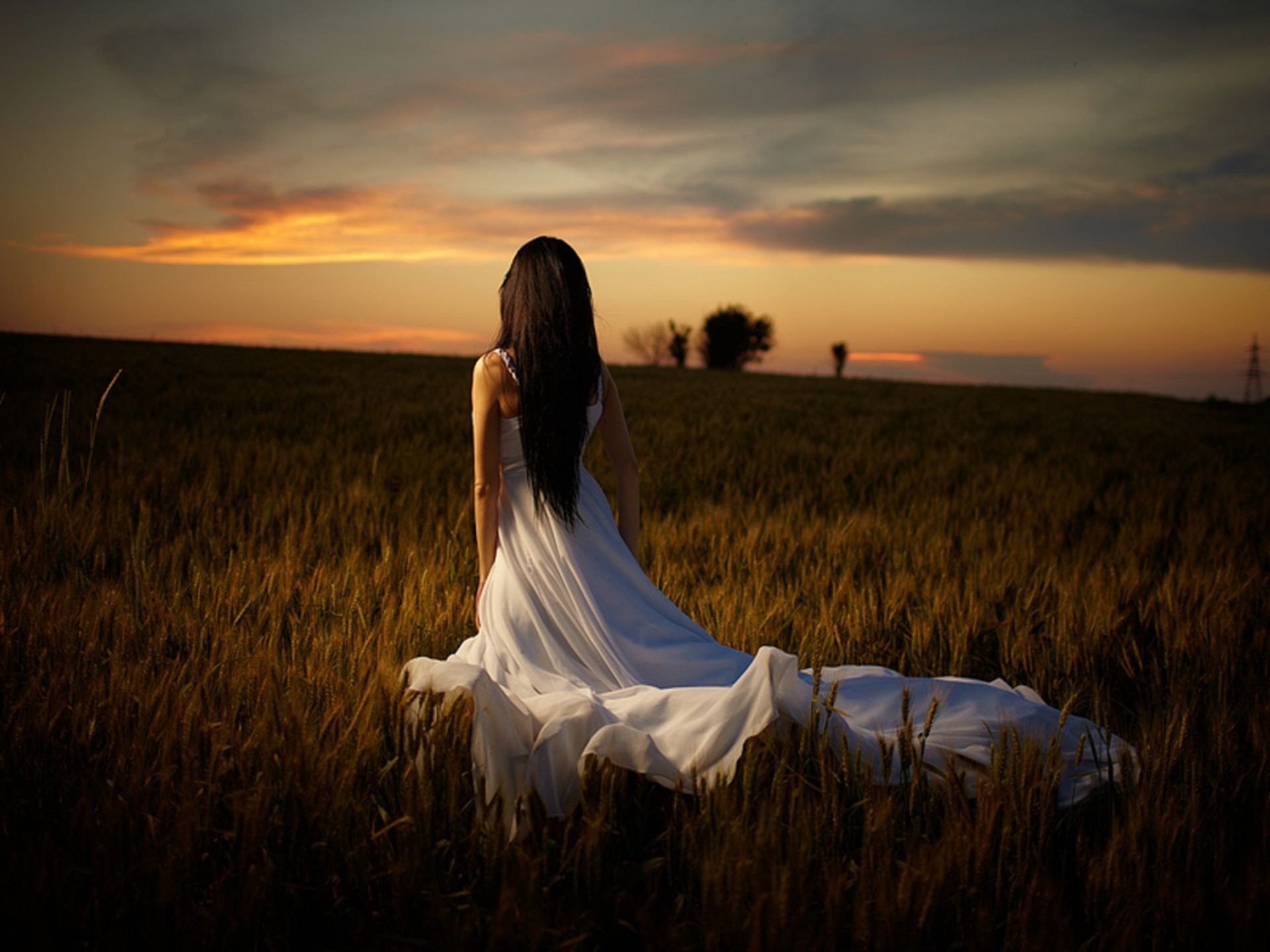 chica vestido pelo largo hermoso modelo vista trasera pelo figura hierba naturaleza árboles cielo noche al aire libre pelo figura