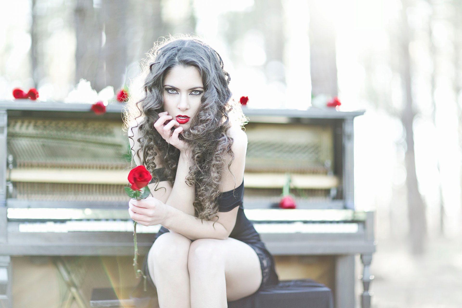 arah styles piano makeup piano rose