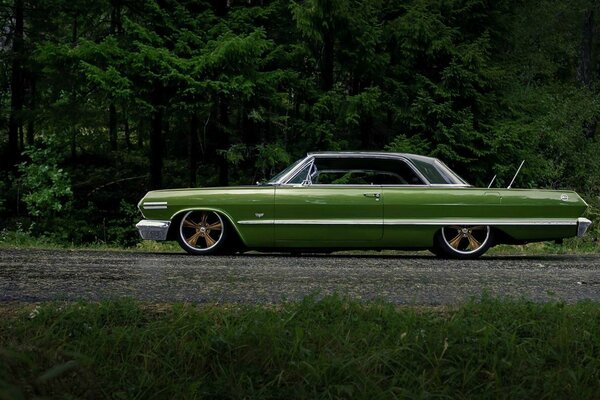 Sur le fond de la forêt, une voiture cool en vert