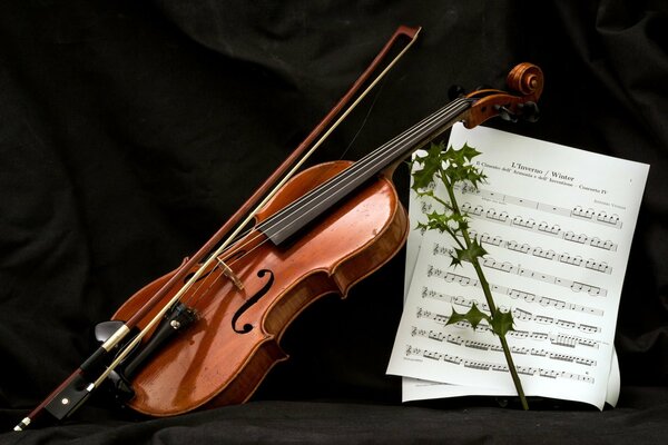 Violin, bow, sheet music and a prickly twig