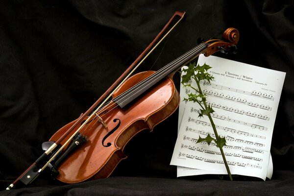 Violino, arco, fogli di musica e ramoscello spinoso