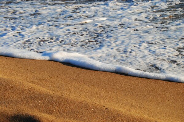 Espuma de mar en la playa