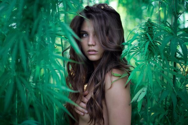 Chica desnuda en los arbustos verdes