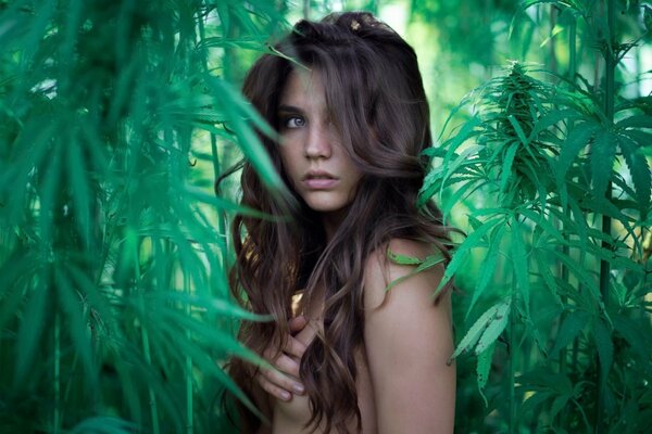 Fille nue dans les buissons de verdure