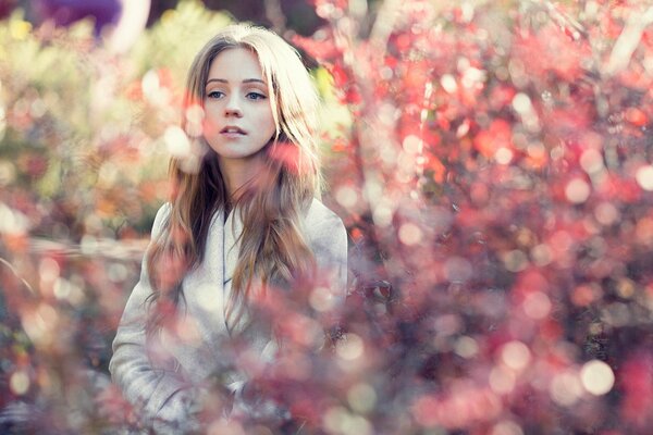 Ragazza su sfondo di foglie in autunno