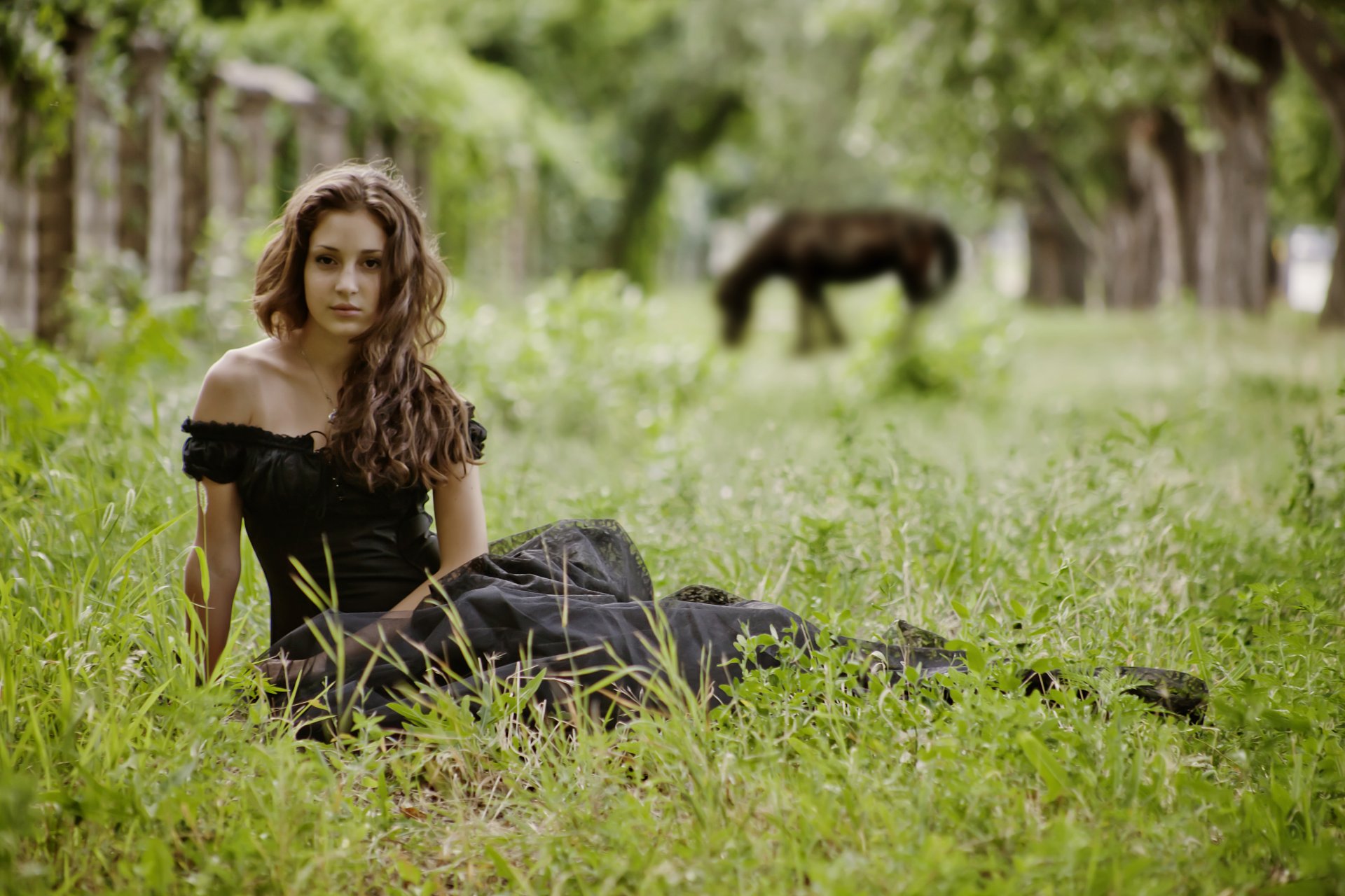 girl brunette sitting poses nature grass tree horse in a black dre