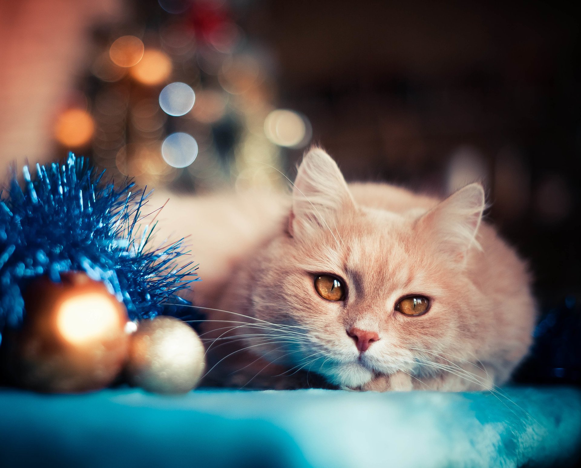 cat balls new year toys holiday tinsel bokeh