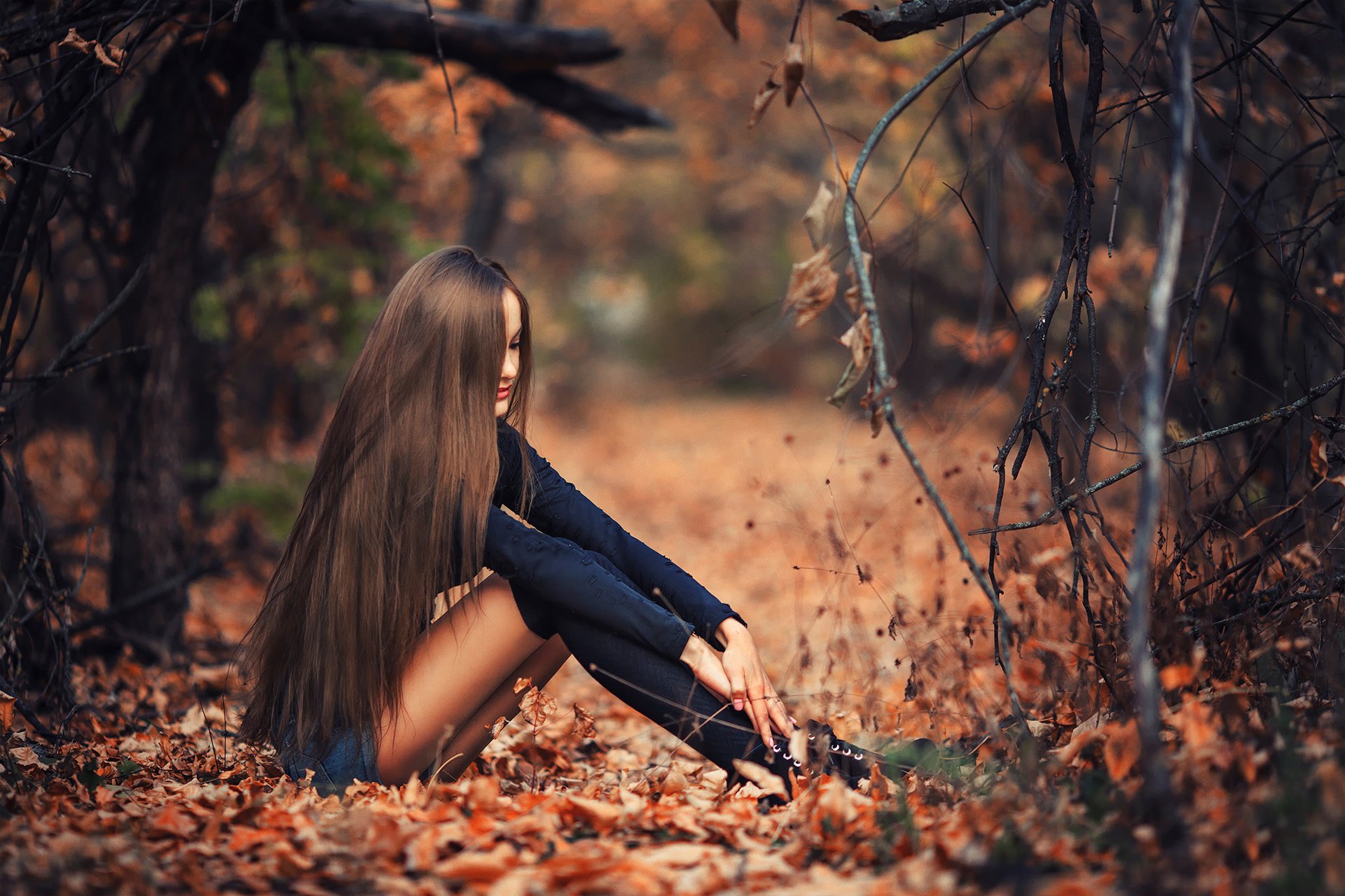 dans la forêt d automne dans la nature feuilles