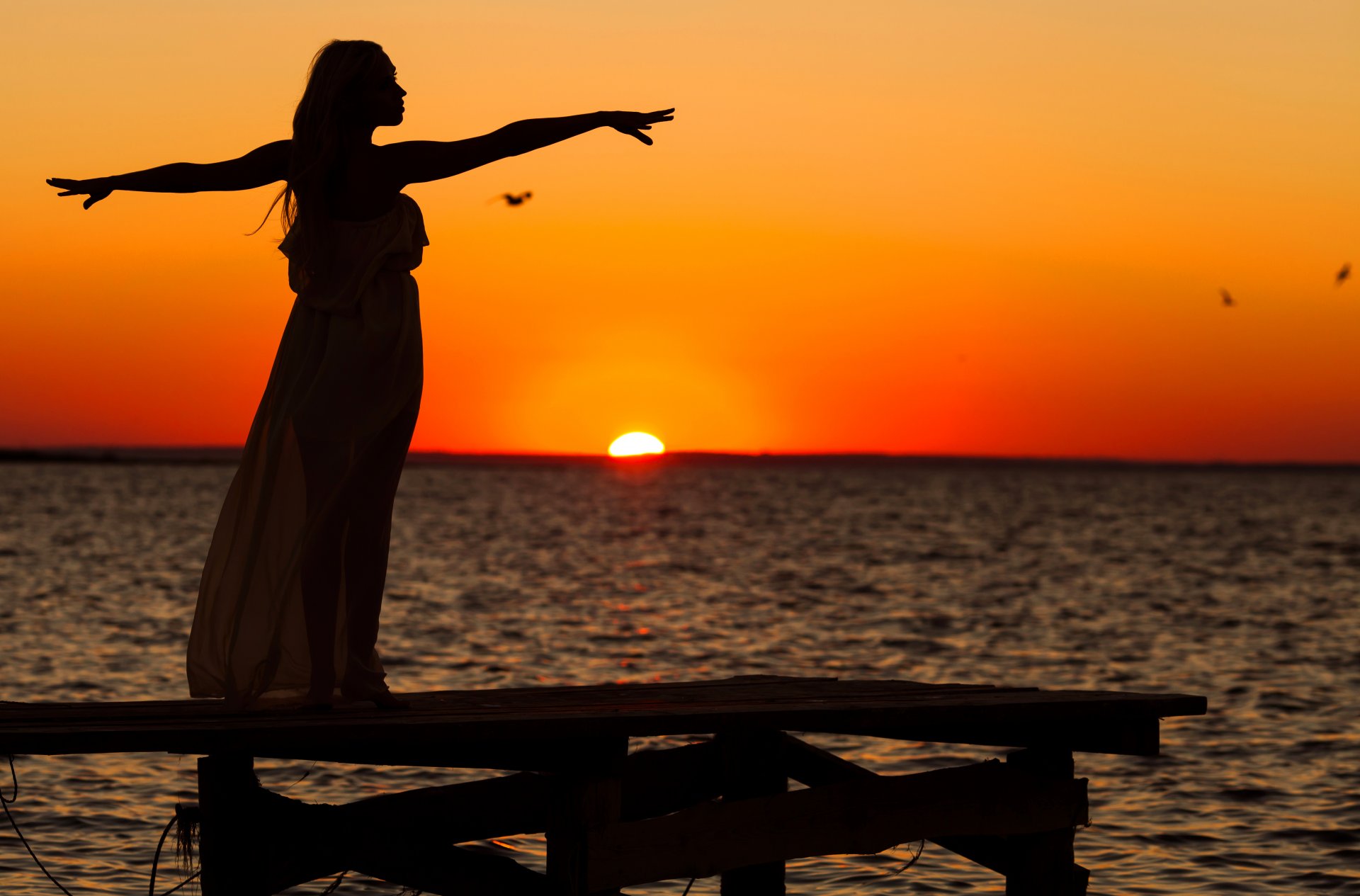 ragazza mare tramonto gabbiani cielo silhouette