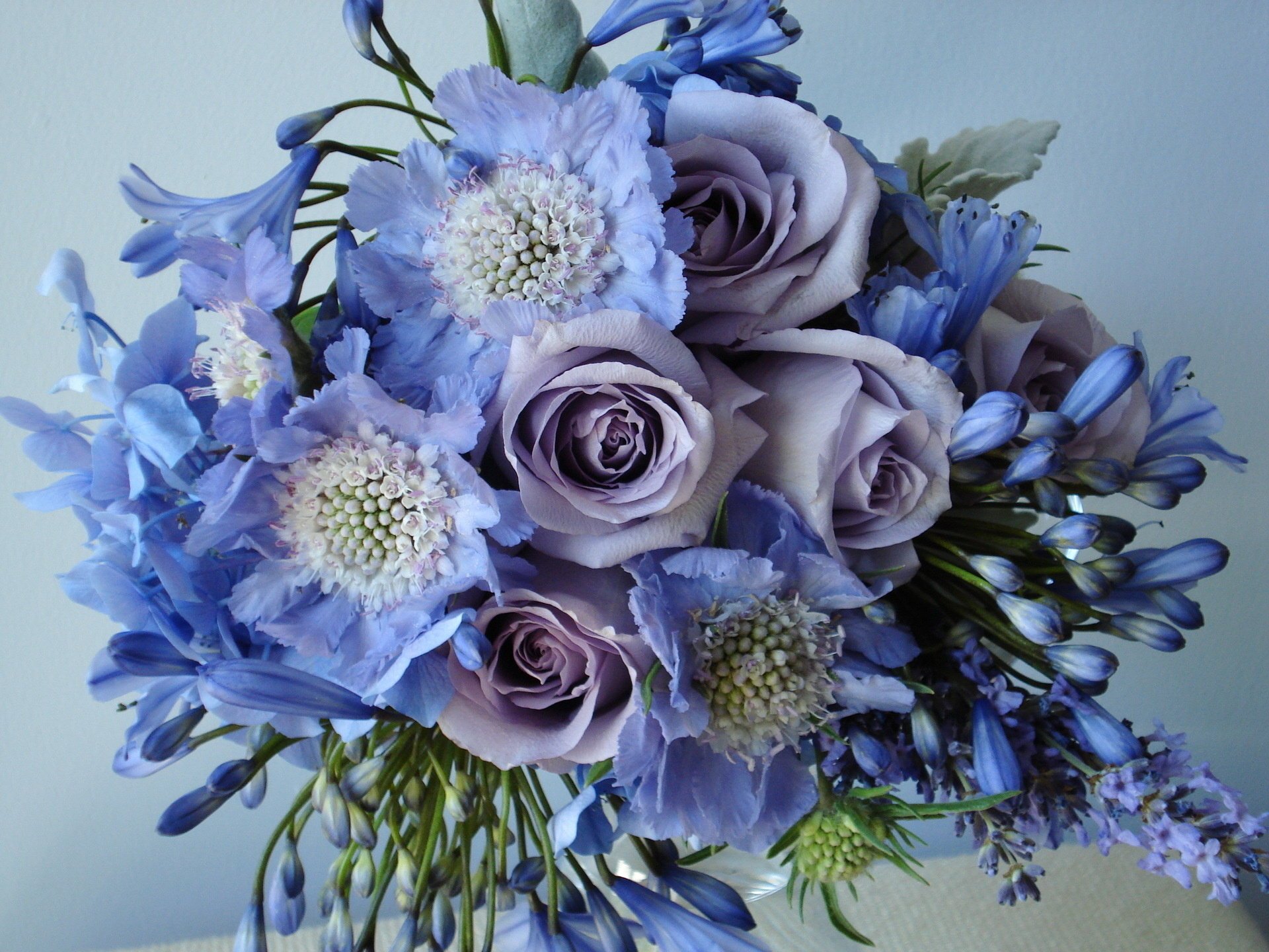 bouquet field beautiful roses flower lilac flower