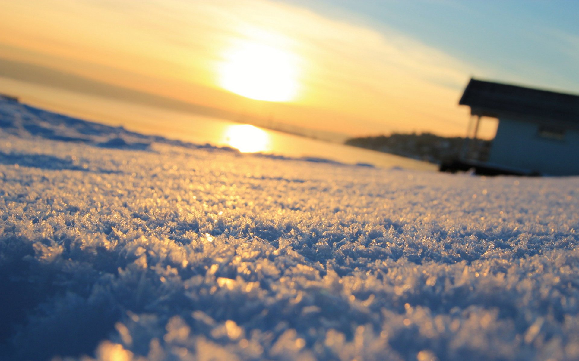 macro soleil fond hiver flou neige macro neige hiver