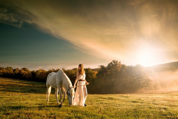 Chica con caballo blanco en el campo